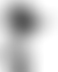 #8- Quel est le role du manager artistique?