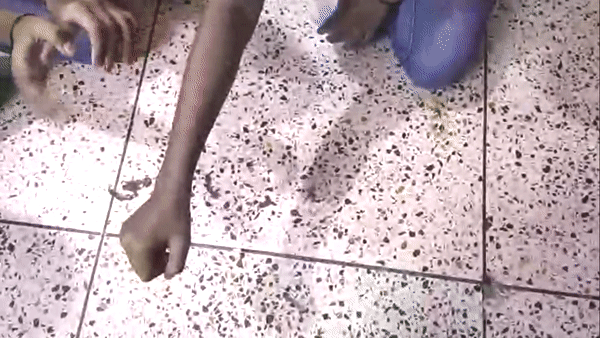 ezgif.com-gif-maker (5).gif