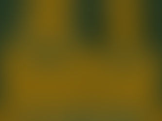 2025 YILI YAZ DÖNEMİ TERAZİ BURCU TAROT AÇILIMI