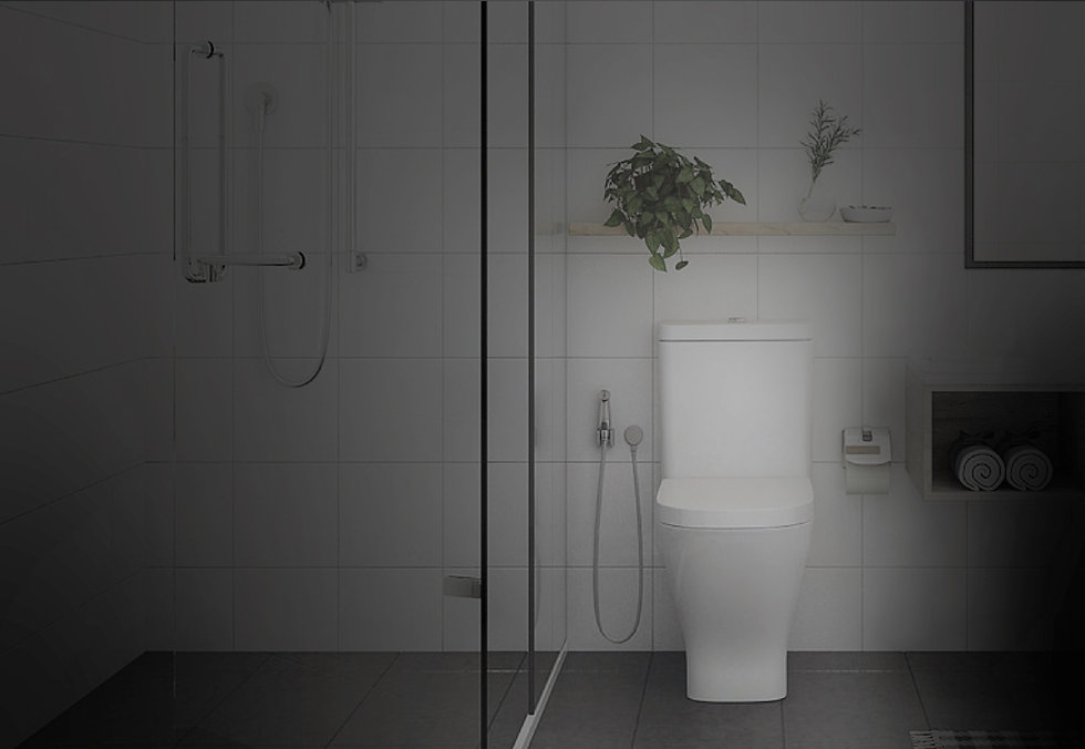 Superseats South Africa's best toilet seats