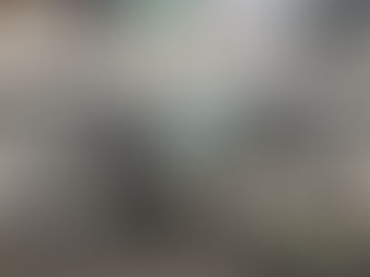 ディスク+28C+TLR