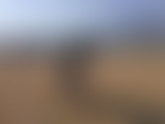 明日：12/3はお休みさせていただきます。（東海シクロクロス）