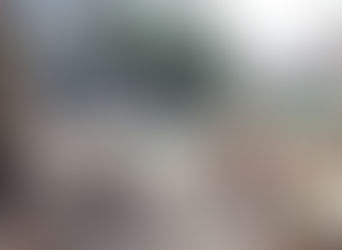 本日のsmr (2017/05/21報告）