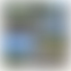 今週末はAACRでお休みです。