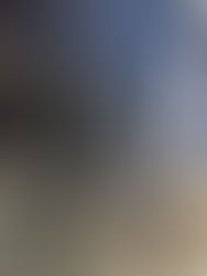 ただ今のNINER (タイヤをオンロード仕様へ戻しました)