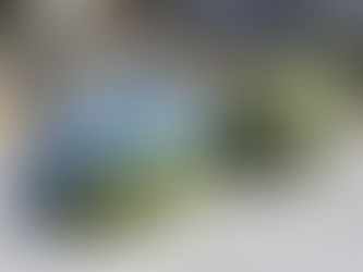 OAKLEY (ヘルメット取扱いします)