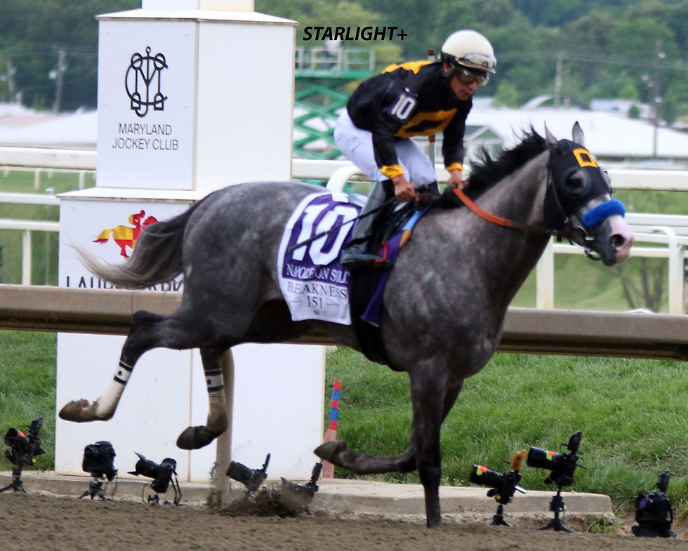 NAPOLEON SOLO WINS THE 151 PREAKNESS-STEAKS-IN-DOMINANT-RUN-_-LAUREL-PARK