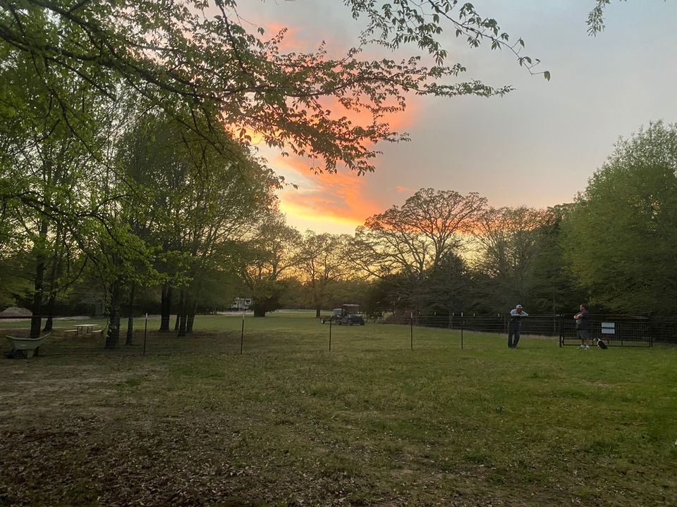 Vibrant sunset over a grassy field with trees; peaceful evening HOME