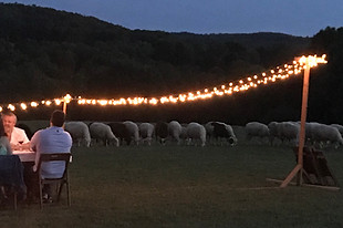 Peaceful farmland and mountain views at a future retreat site near the Adirondacks