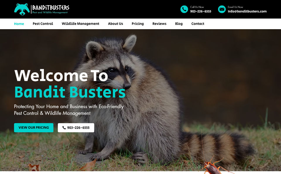 Bandit Busters website with raccoon and text: Welcome to Bandit Busters. Websites protect homes.