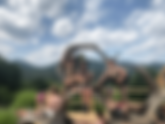 High on Connection: Meadows in the Mountains, One Phrase at a Time