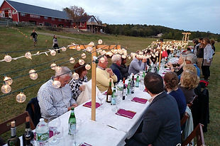 Intimate countryside wedding reception at Dancing Ewe Farm
