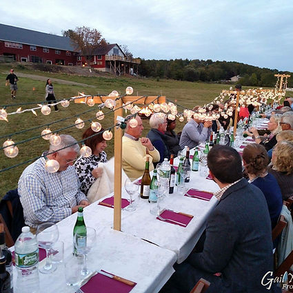 Mediterranean-inspired farm dinner plated with seasonal vegetables and olive oil