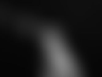 UNLOCK YOUR DOG’S POTENTIAL WITH MODEL K9’S BOARD & TRAIN PROGRAMS