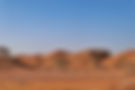 scenic-view-of-a-gravel-road-with-trees-in-the-des-2026-03-18-08-21-51-utc.jpg