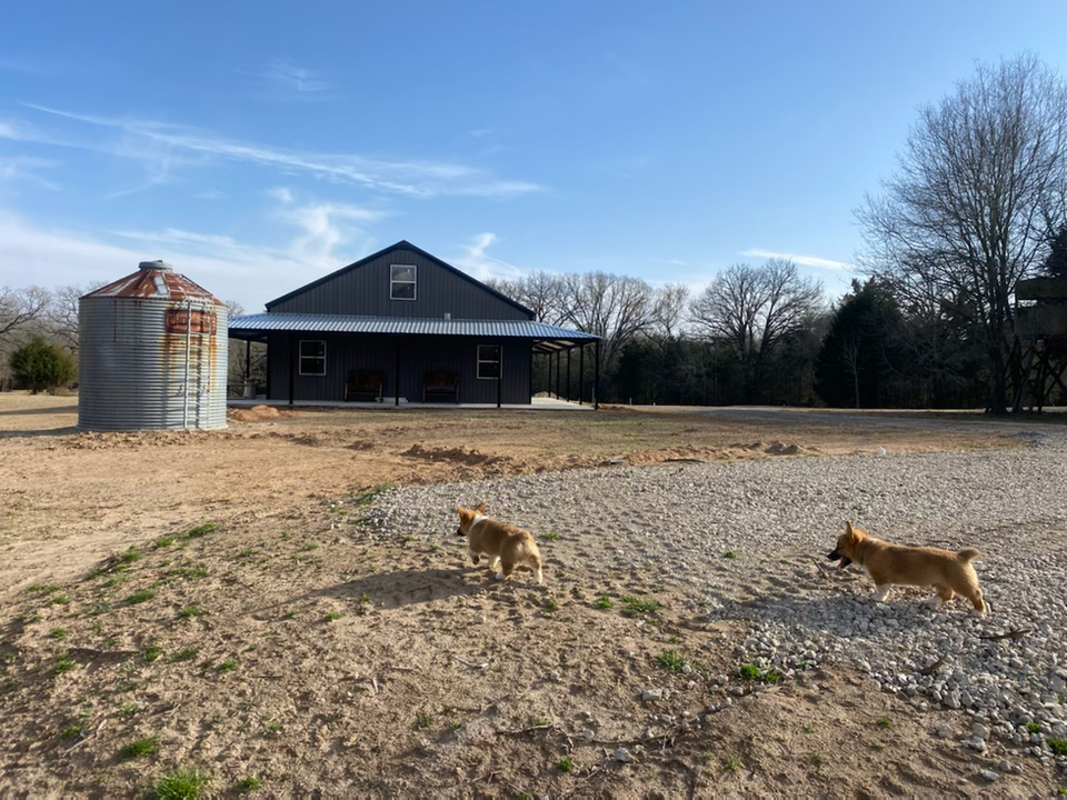 Two dogs running towards a barn HOME under a bright blue sky