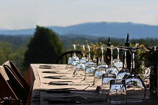 The working farm kitchen set up for a shared meal