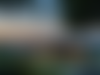 Viña San Pedro celebra 20 años de su vino Altaïr con exclusivo almuerzo maridaje