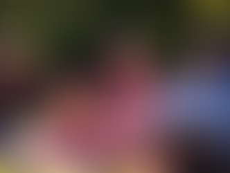 Este Día de la Madre, regala una escapada entre viñedos en el Valle de Colchagua