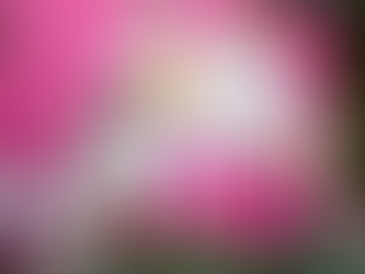 Wados: blanco el tono del verano 2024