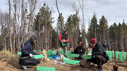 Fundación Reforestemos consolida más de una década restaurando la Patagonia con su histórico voluntariado que une a todo Chile