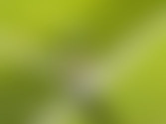 “Sponsor del mejor tenis del mundo”: Stella Artois brindará una experiencia única en Wimbledon siendo la cerveza oficial del torneo