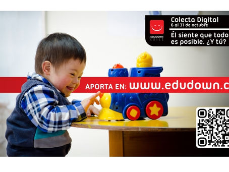 Corporación Edudown:
Lanza colecta para seguir atendiendo de forma gratuita