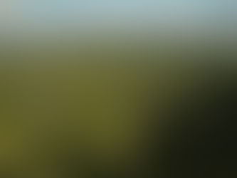 Internet de las Cosas y sustentabilidad: una dupla esencial para enfrentar la emergencia planetaria