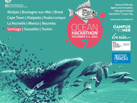 Científicas y científicos chilenos competirán en Hackathon mundial que busca salvar los océanos