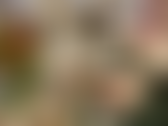 AromasFest 2025 cautivó a más de 1.500 amantes del perfume en Santiago y premió a las mejores creaciones olfativas del año