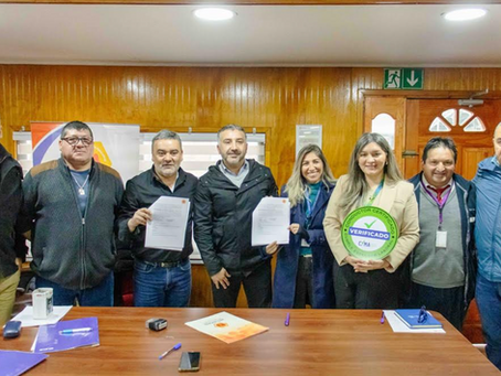 Cyma Salud: el emprendimiento que está transformando las evaluaciones laborales en la provincia de Concepción