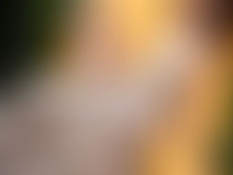 Wados: Tres estilos de vestidos que serán tendencia este verano