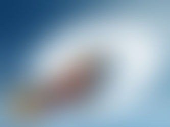 DHL Global Forwarding registra una creciente demanda de soluciones de transporte sostenible