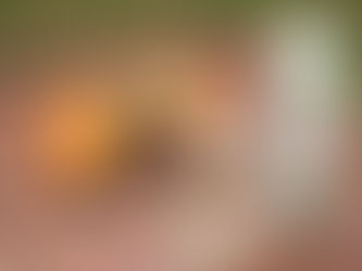 5 beneficios de consumir aloe vera para la salud y el bienestar