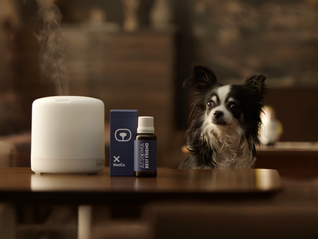 ¿Y si los perros pudieran oler el abrazo de sus dueños? NotCo dice: “Sí, se puede”