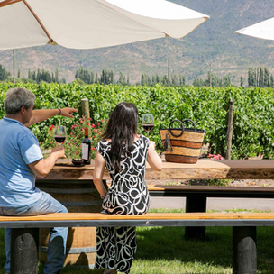 El boom del fenómeno del enoturismo en Chile ya tiene cifras récord