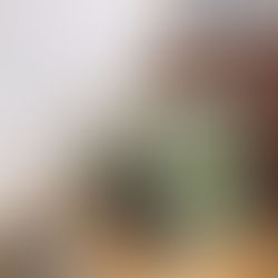 The Year of Magical Thinking