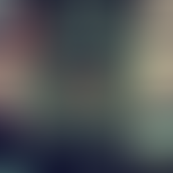 Acerca de los pájaros