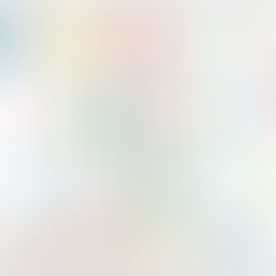 La memoria y lo minúsculo: formas para salvarse del mundo