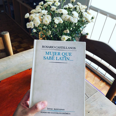 Mujer que sabe Latín