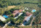panoramica picchio giusta WEBP.webp