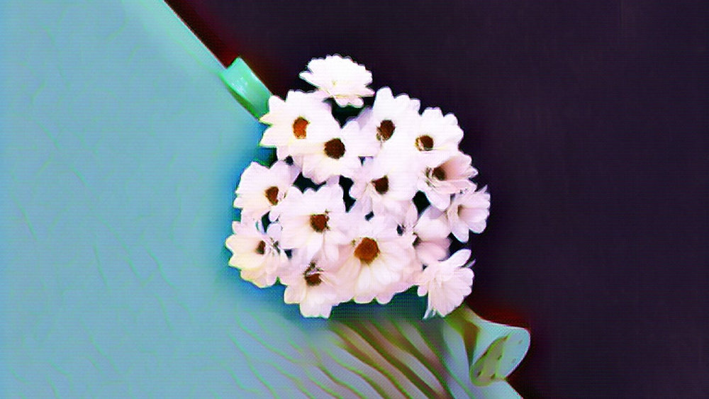 Duality What It Is and Why It's Essential to Appreciate Life