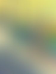 Abraham Dayan, a Traveler of Expression