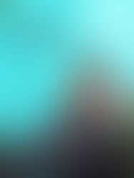 Mark Cross, The Observer