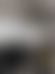 CLIO ART FAIR: The Show Goes On