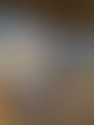 What You Should Demand of Your Art Museum: Decolonizing the Arts