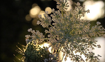 Image 9-19-25 at 4.05 PM.jpeg