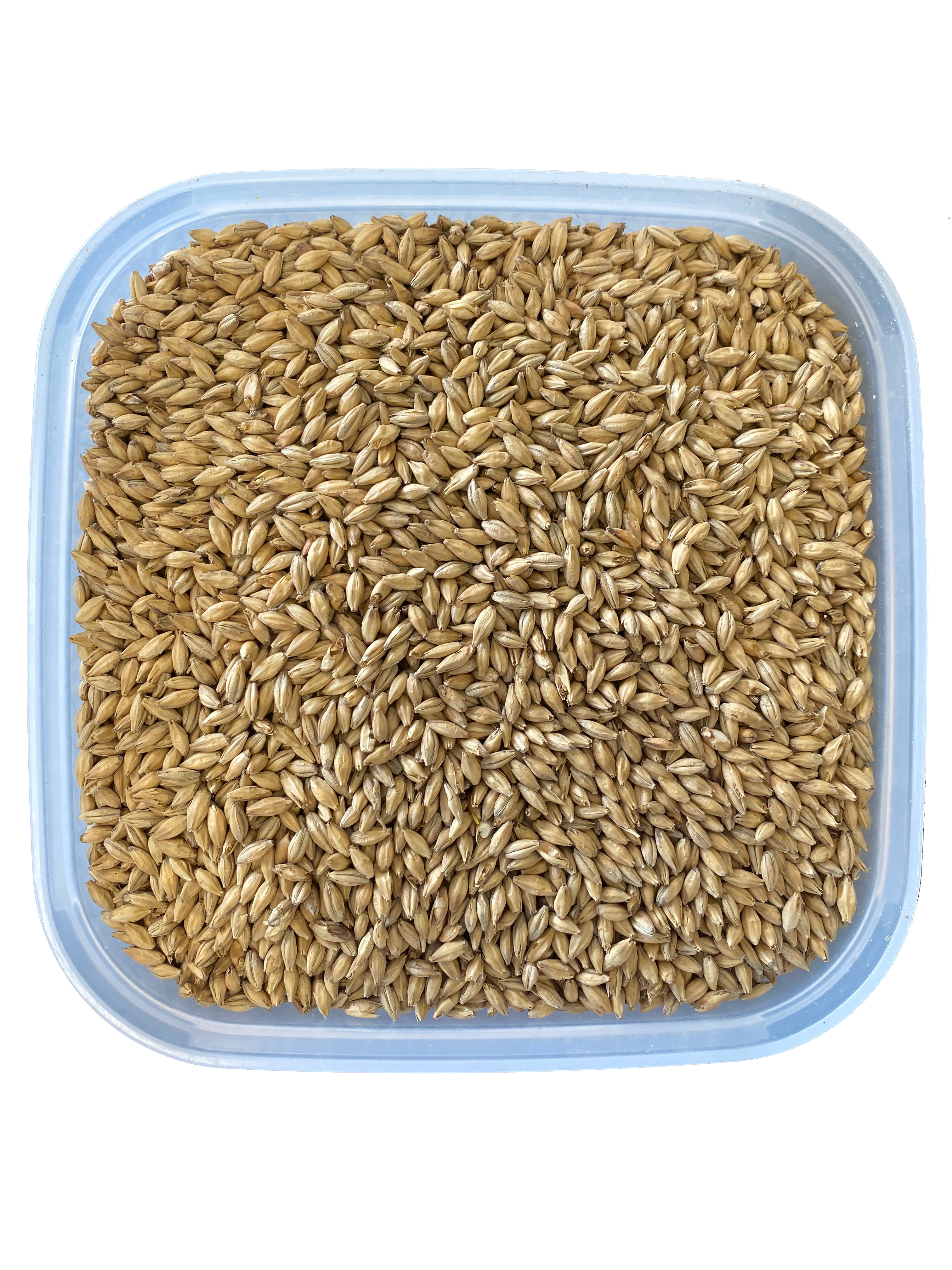 Weyermann Malt - Spelt Malt
