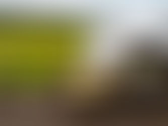 Trailer Rental Safety tips