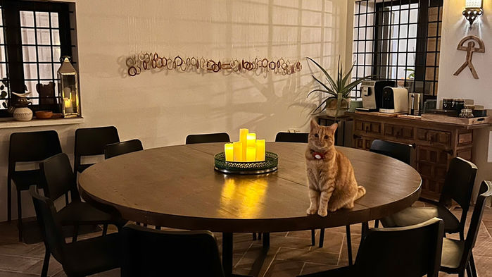 wood table, round table, candles, ceiling fan, wall art, outdoor dining